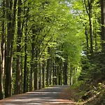 Lägenhet Beranek Na Sumave *