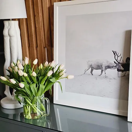 Beránek Na šumavě Apartamento Železná Ruda