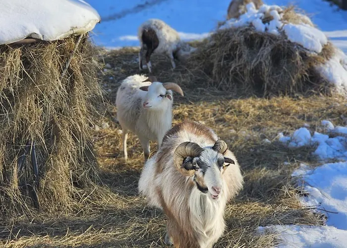 Beranek Na Sumave Železná Ruda